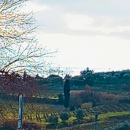 Appartamento Casa Serena A Carmignano *